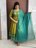 Avni Collection