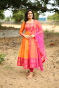 Ambika Collection